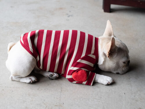 【Little A】BORDER TEE【RED】 - 画像 (5)