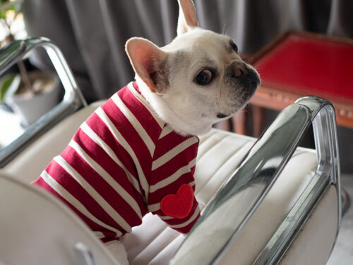 【Little A】BORDER TEE【RED】 - 画像 (4)