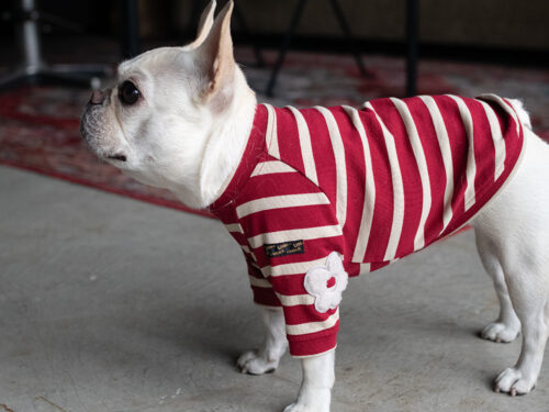 【Little A】BORDER TEE【RED】 - 画像 (3)