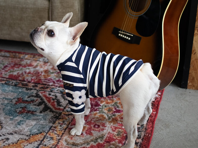 【Little A】BORDER TEE【NAV】 - 画像 (3)
