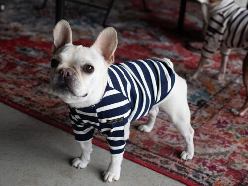 【Little A】BORDER TEE【NAV】 - 画像 (2)