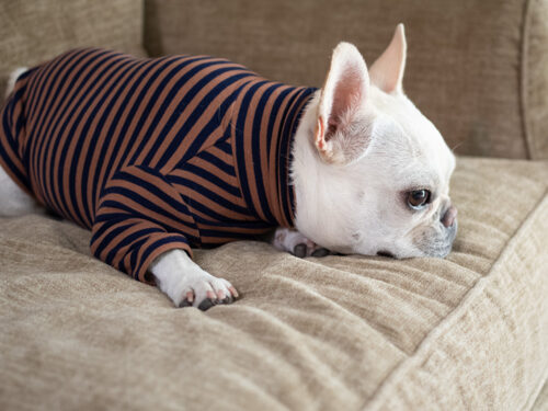 HUGWARM【CML*NAV】