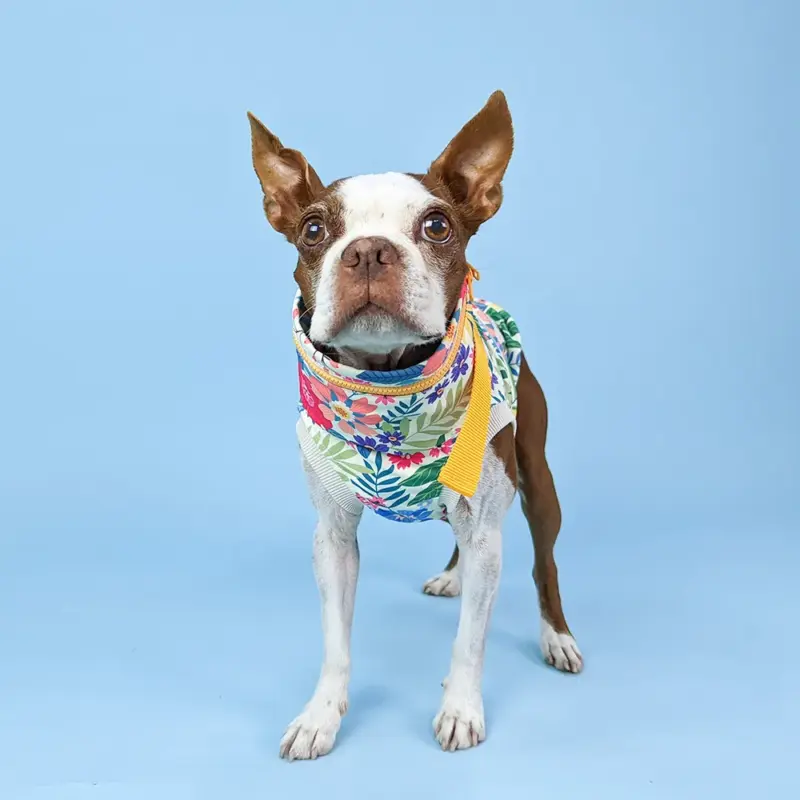 NEO FLOWER Onetouch snood - 画像 (7)
