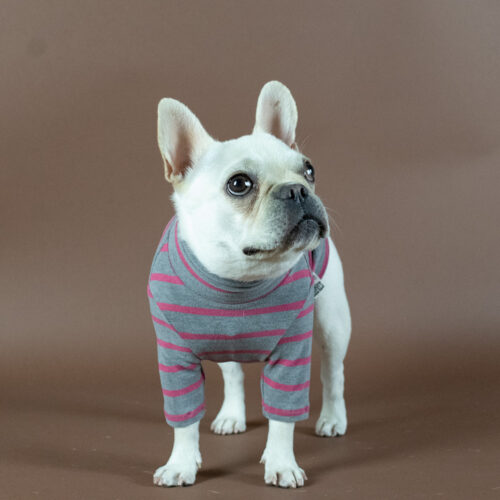 HUGWARM【PINK×Gry】 - 画像 (2)