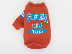 College LOGO TEE【ORG】