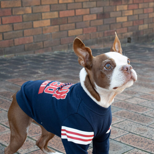 College LOGO TEE【NAV】 - 画像 (6)
