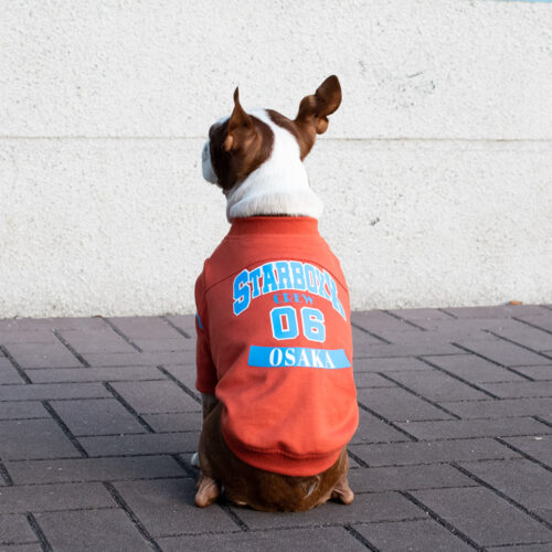 College LOGO TEE【ORG】 - 画像 (6)