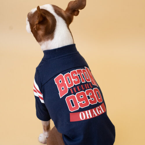 College LOGO TEE【NAV】 - 画像 (5)