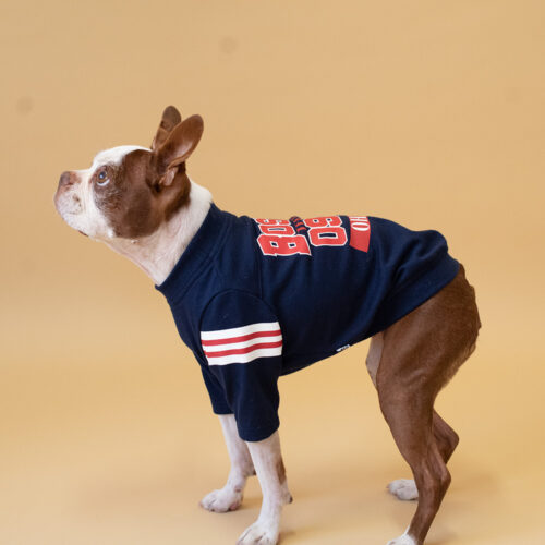 College LOGO TEE【NAV】 - 画像 (4)