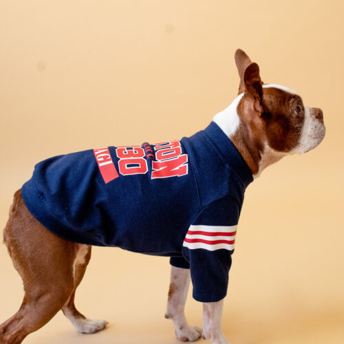 College LOGO TEE【NAV】 - 画像 (3)