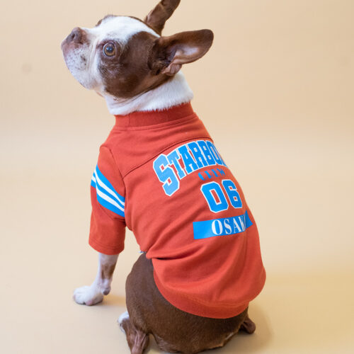 College LOGO TEE【ORG】 - 画像 (4)