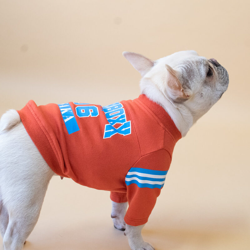 College LOGO TEE【ORG】 - 画像 (2)