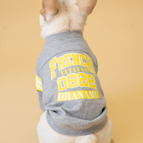 College LOGO TEE【杢GRY】 - 画像 (2)