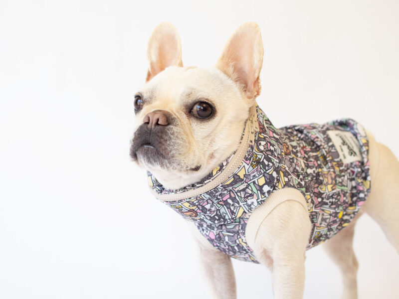 2023WMB Snood - 画像 (3)