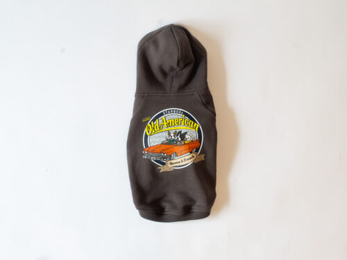 【FACE ORDER】OLD AMERICANパーカー【CCL】 - 画像 (10)
