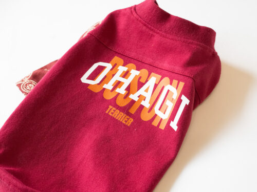 BANDANA sleeve TEE【RED】 - 画像 (7)