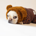 くまさんスヌード【キャメクマさん】 – STARBOXx