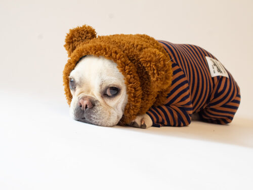 HUGWARM Suit【CML×NAV】 - 画像 (4)