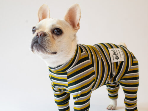 HUGWARM Suit【D/GRN MULTI】 - 画像 (3)