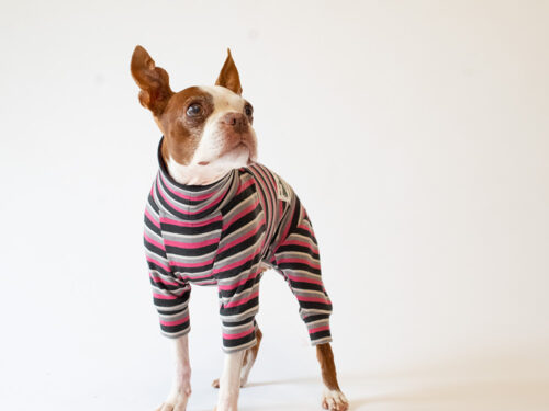 HUGWARM Suit【PINK MULTI】 - 画像 (2)