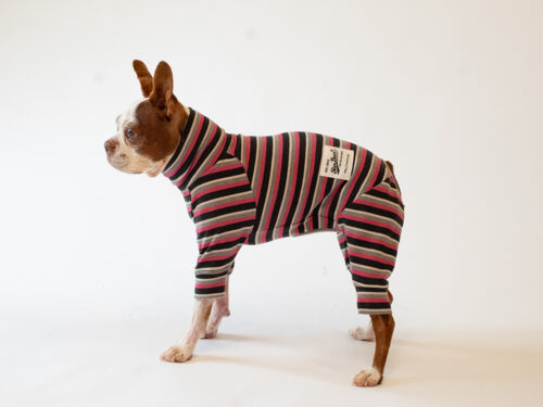 HUGWARM Suit【PINK MULTI】 - 画像 (3)