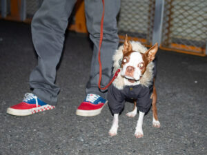 MOZZ COAT【CCL】