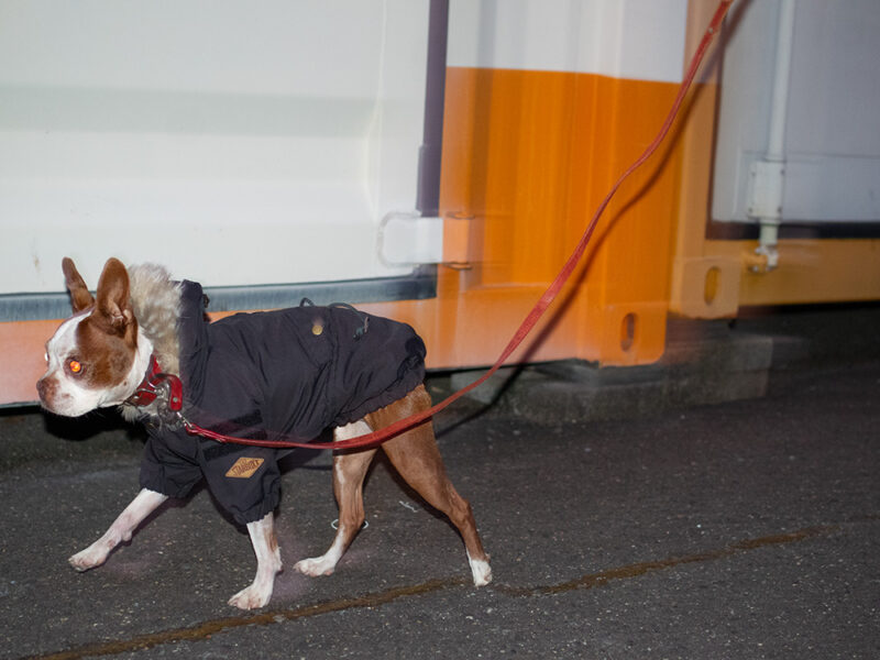 MOZZ COAT - 画像 (4)