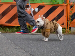 MOZZ COAT【CML】
