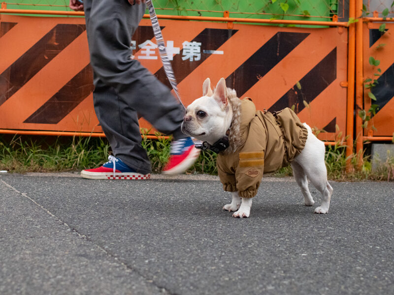 MOZZ COAT - 画像 (17)