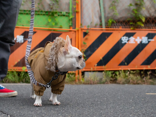 MOZZ COAT【CML】 - 画像 (2)