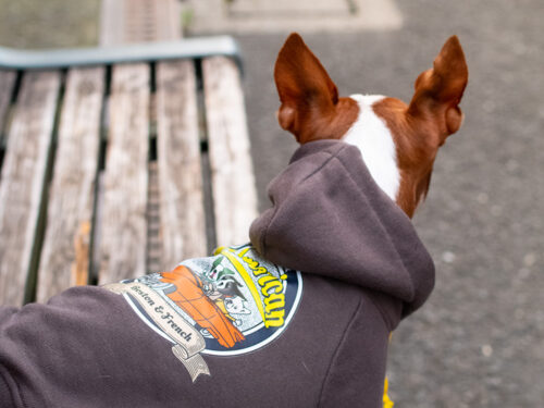 【FACE ORDER】OLD AMERICANパーカー【CCL】 - 画像 (7)