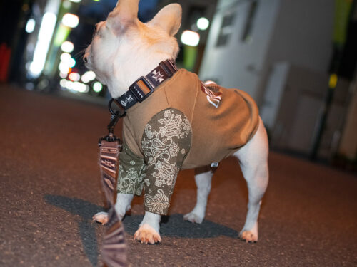 BANDANA sleeve TEE【CML×KHK】 - 画像 (8)