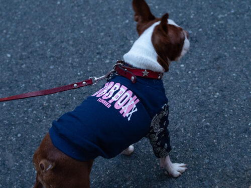 BANDANA sleeve TEE【NAV】 - 画像 (2)