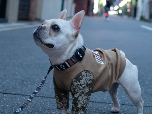 BANDANA sleeve TEE【CML×KHK】 - 画像 (6)