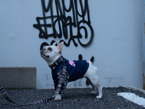 BANDANA sleeve TEE【NAV】 - 画像 (3)