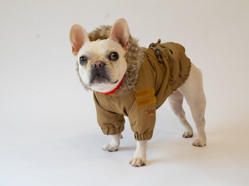 MOZZ COAT【CML】 - 画像 (9)