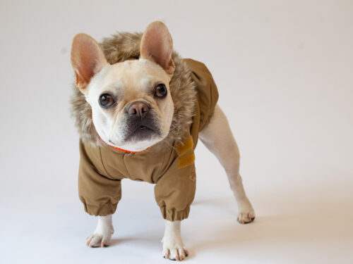 MOZZ COAT【CML】 - 画像 (8)