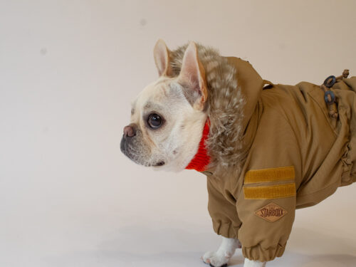 MOZZ COAT【CML】 - 画像 (7)