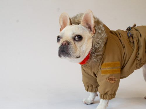 MOZZ COAT【CML】 - 画像 (6)