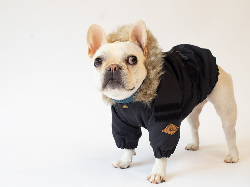 MOZZ COAT - 画像 (6)