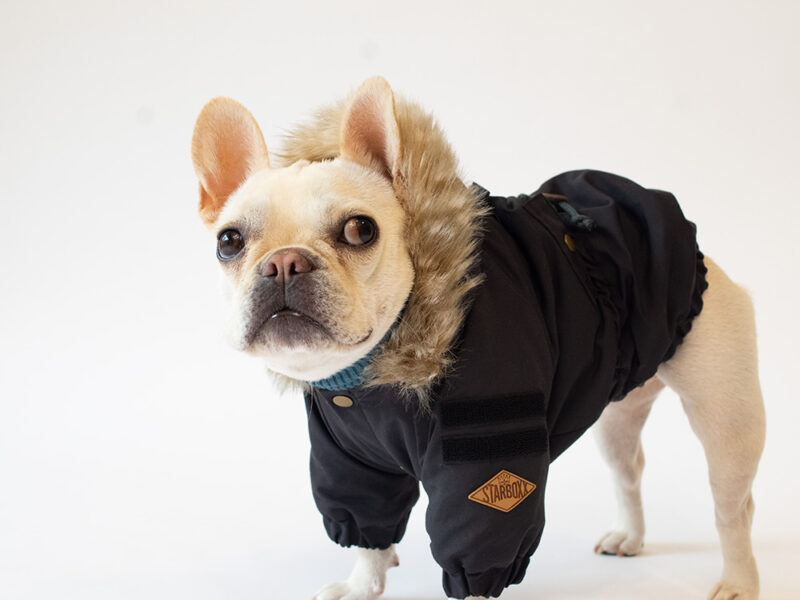 MOZZ COAT - 画像 (5)