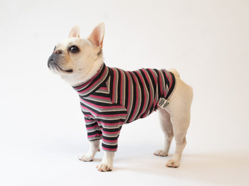 HUGWARM【PINK MULTI】 - 画像 (3)