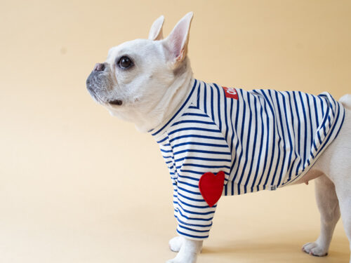 HEART patch B/D PullOver【BLUE×OW】 - 画像 (7)