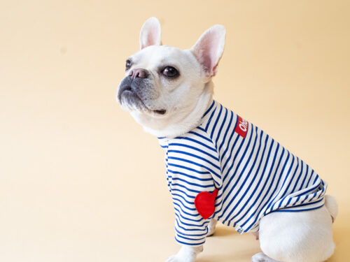 HEART patch B/D PullOver【BLUE×OW】 - 画像 (4)