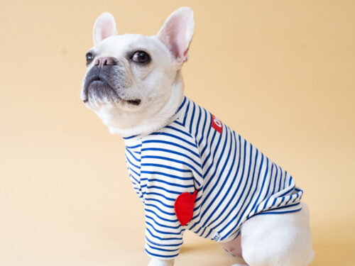 HEART patch B/D PullOver【BLUE×OW】 - 画像 (3)