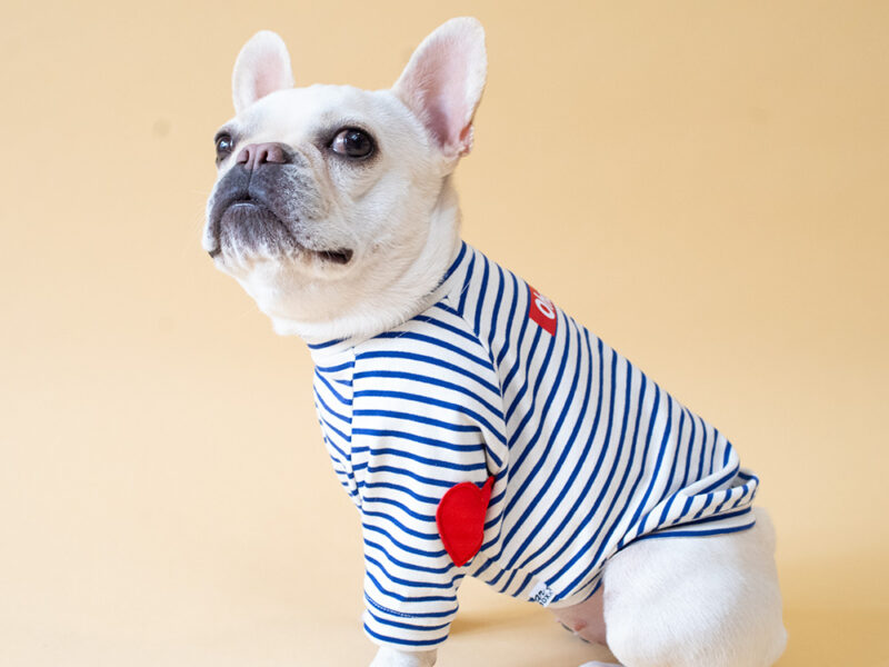 HEART patch B/D PullOver【BLUE×OW】 - 画像 (3)