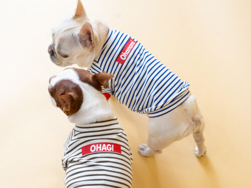 HEART patch B/D PullOver【BLUE×OW】 - 画像 (9)