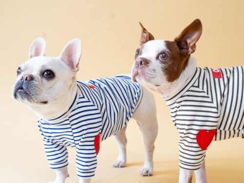 HEART patch B/D PullOver【BLUE×OW】 - 画像 (8)