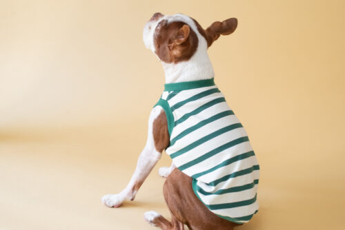 【LittleA】BORDER Tanktop【Green*Ow】 - 画像 (7)