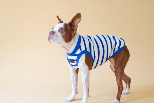 【LittleA】BORDER Tanktop【Blue*Ow】 - 画像 (3)